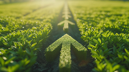 Green grass field with a large, symbolic arrow pointing upwards and forwards