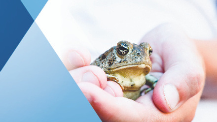 toad child human hand outdoors