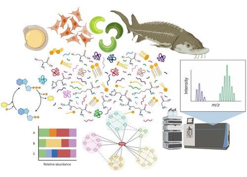 Omics-SS-Groh.jpg