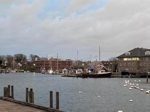 Marine Biological Laboratory in Falmouth, MA.